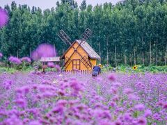 -洪湖湿地生态园