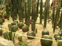 -石家庄市植物园