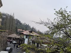 -莫干山风景区