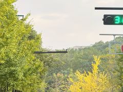 -杭州半山国家森林公园