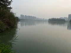 -姚记.周礼伤心凉粉(时代广场店)