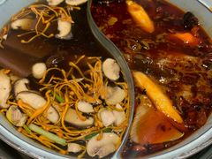 -青瓷火锅料理(西单大悦城店)