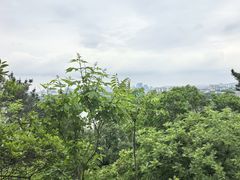 -九华山公园