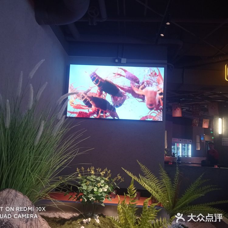 今天的美食探店之旅