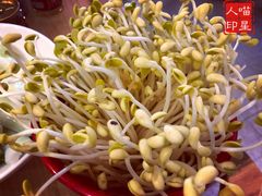 井水豆芽-雾都渣渣火锅(南城智汇城店)