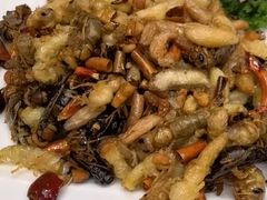 -昆虫窝子·特色云南菜(拓东路总店)