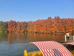 -上海海湾国家森林公园