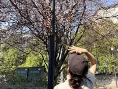 -大小河街