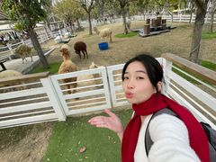 -盈香心动乐园