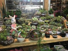 -双季花艺园艺市场(浦东店)