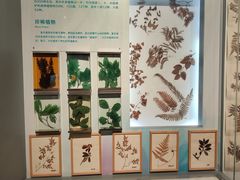 -重庆自然博物馆(新馆)