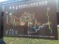 -牛背梁国家森林公园