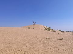 -黄沙古渡原生态旅游区