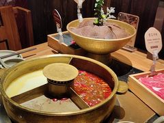 -巴奴毛肚火锅(九洲店)
