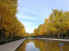 -玲珑塔公园