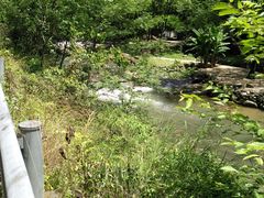 -车溪民俗旅游区