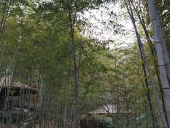 -天目湖御水温泉·度假酒店