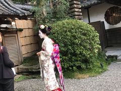 -料亭菊水楼
