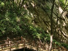 -大岭沟猕猴桃谷风景区