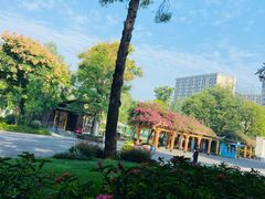 -成都动物园