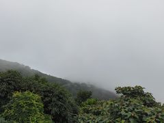 -海南铜鼓岭景区