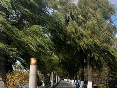 -长春市南湖公园