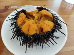 -海胆小馆(东北水饺·春柳店)