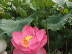 -龚家花园农家乐休闲别墅