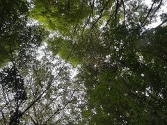 -湖泉半山温泉(湖泉生态园)