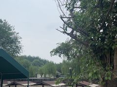 -尚庄度假村·庭台树下·户外烧烤·团建CS·轰趴营地(上庄水库店)