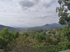 -塔川景区