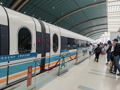 -龙阳路磁悬浮列车总站-停车场