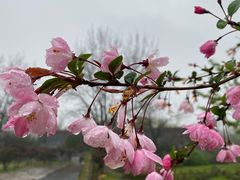 -武汉园博园(武汉自然博物馆)