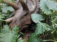 -海南热带野生动植物园