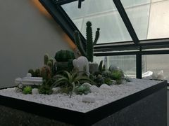 -大树餐厅(红旗街万达店)