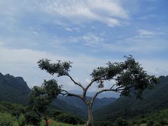 -秦岭风景区