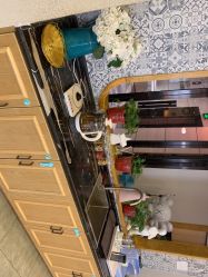 -星豆豆儿童摄影(南郊太白南路店)