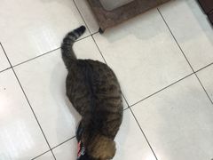 -么凤(波斯富街店)