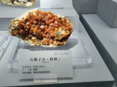 -湖南省地质博物馆