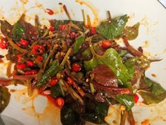 -蓉城小馆(科兴店)