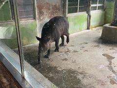 -石家庄市动物园