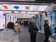 -乐天免税店(明洞店)