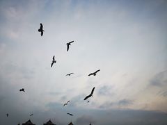 -星海广场