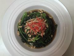 -天鹅到家·保姆月嫂育儿嫂(总店)