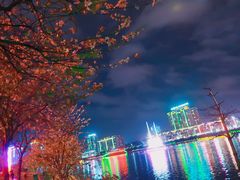 -苏记农家菜馆