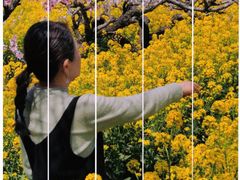 -南汇桃花村