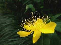 -白塘生态植物园