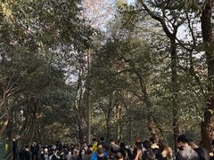 -灵顺寺