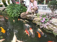 -聚福宝合苑食府(南头镇店)