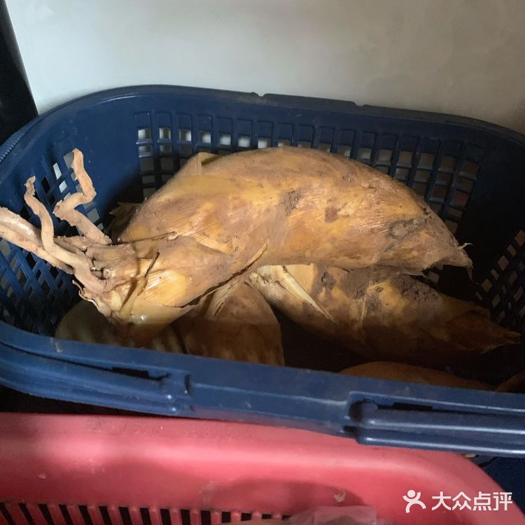 食材：地里挖的冬笋 自家腌的雪菜